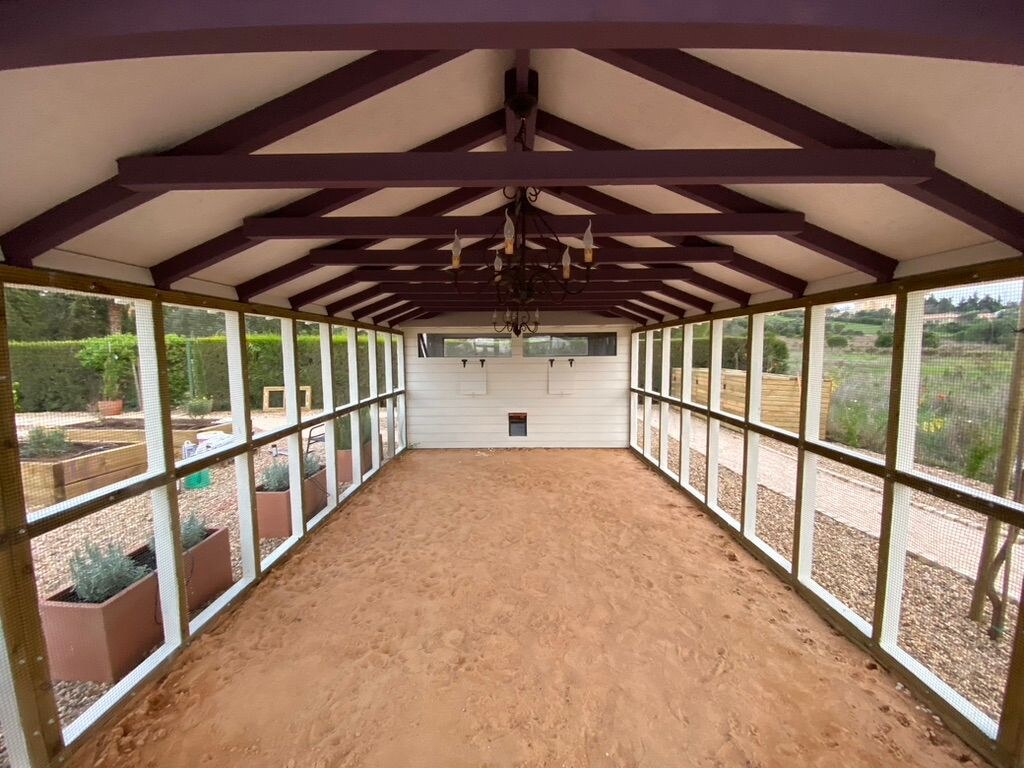 Interior of a handmade timber chicken pen with exposed roof trusses and screened walls
